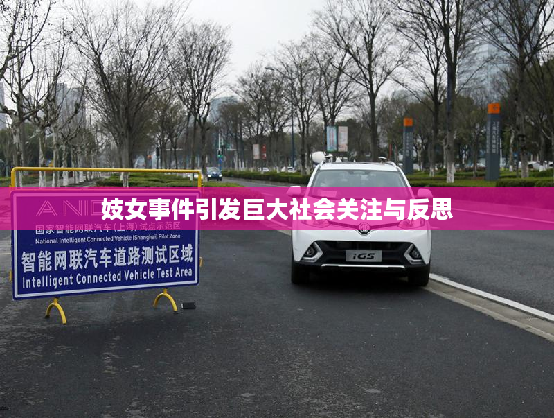 妓女事件引发巨大社会关注与反思