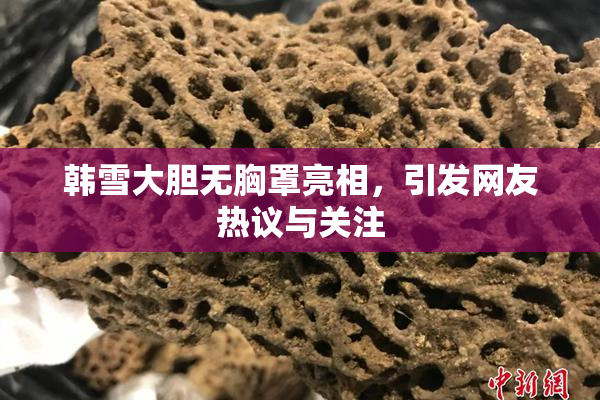 韩雪大胆无胸罩亮相，引发网友热议与关注