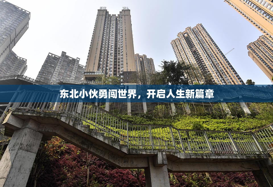 东北小伙勇闯世界，开启人生新篇章