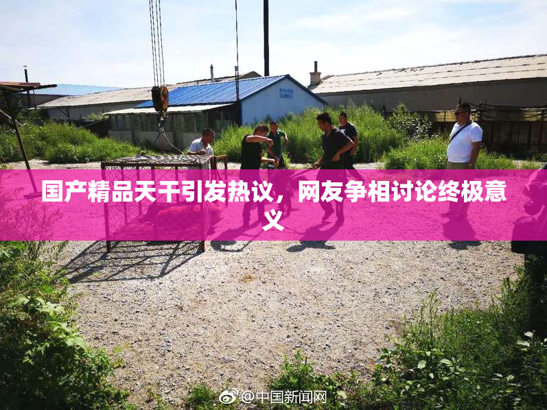 国产精品天干引发热议，网友争相讨论终极意义