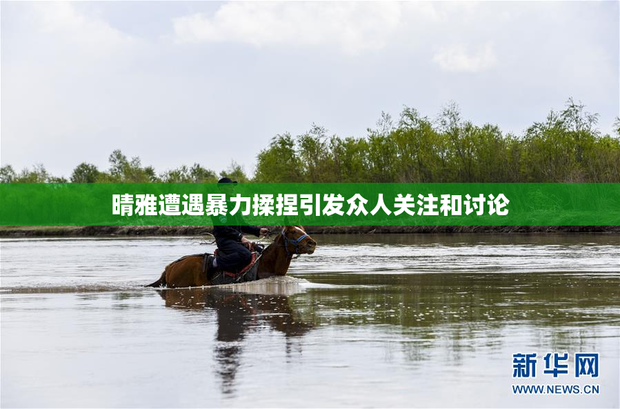晴雅遭遇暴力揉捏引发众人关注和讨论