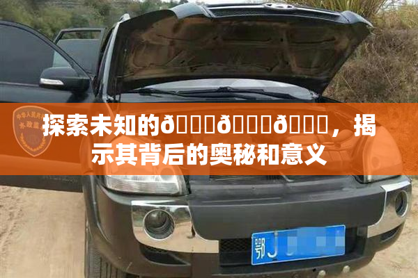 探索未知的🍆🍑🔞，揭示其背后的奥秘和意义