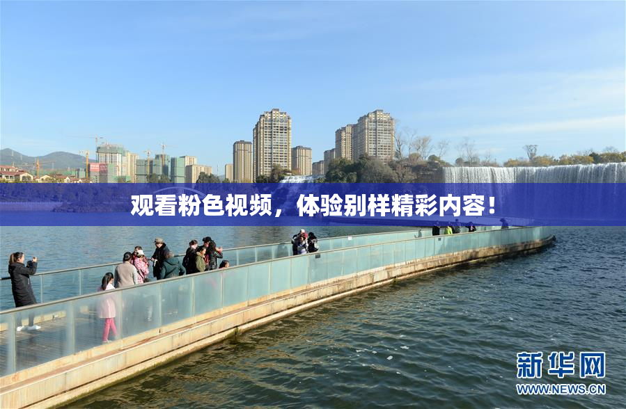 观看粉色视频，体验别样精彩内容！