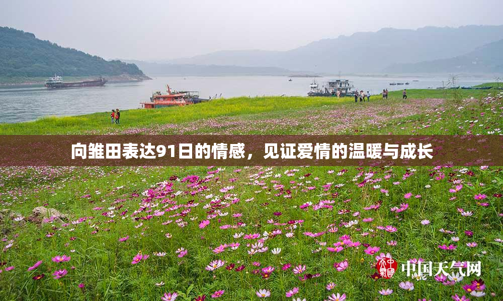 向雏田表达91日的情感，见证爱情的温暖与成长