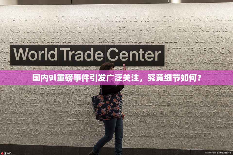 国内9l重磅事件引发广泛关注，究竟细节如何？