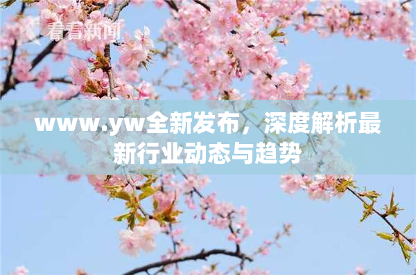www.yw全新发布，深度解析最新行业动态与趋势