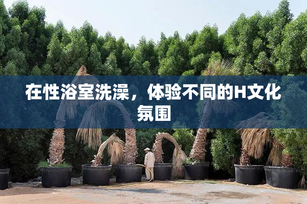 在性浴室洗澡，体验不同的H文化氛围
