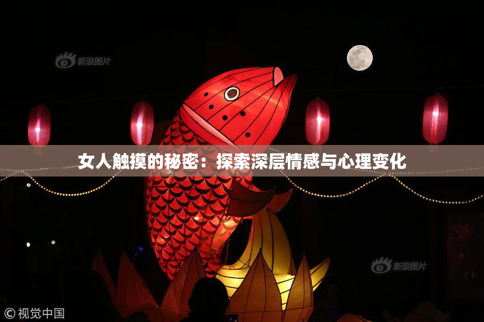女人触摸的秘密：探索深层情感与心理变化