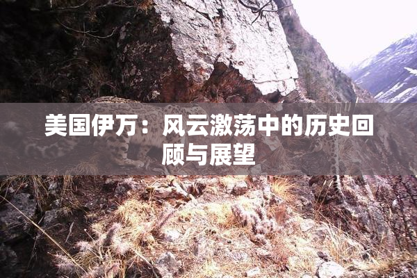 美国伊万：风云激荡中的历史回顾与展望