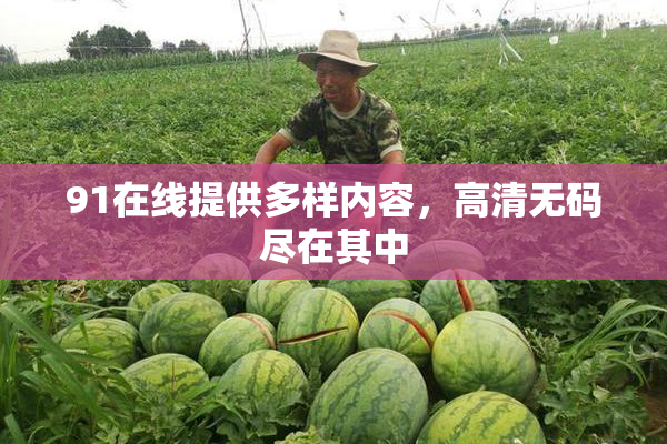 91在线提供多样内容，高清无码尽在其中