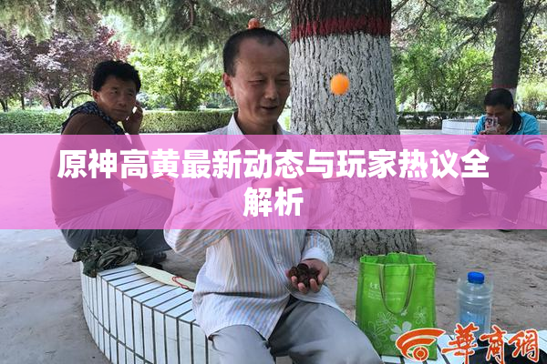 原神高黄最新动态与玩家热议全解析