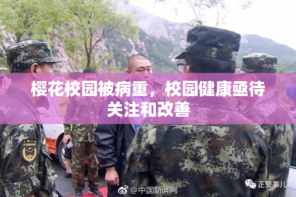 樱花校园被病重，校园健康亟待关注和改善