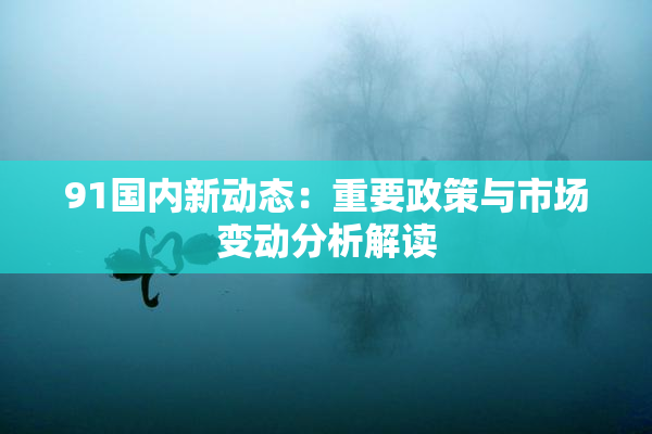 91国内新动态：重要政策与市场变动分析解读