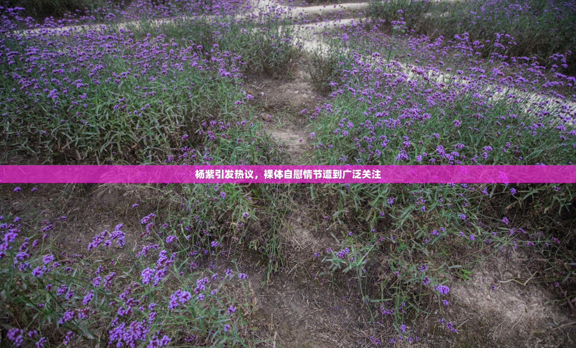 杨紫引发热议，裸体自慰情节遭到广泛关注