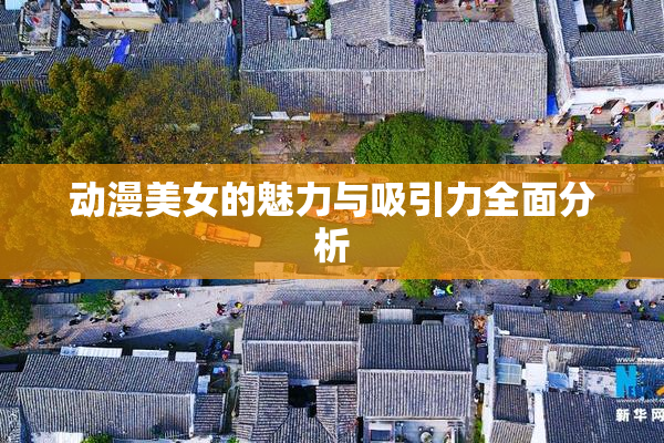 动漫美女的魅力与吸引力全面分析