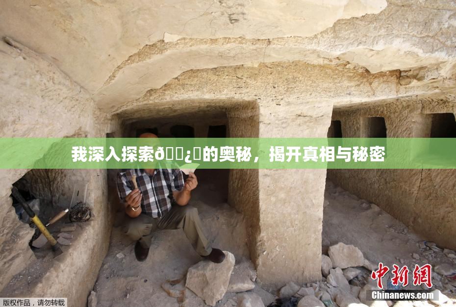 我深入探索🌿‌的奥秘，揭开真相与秘密