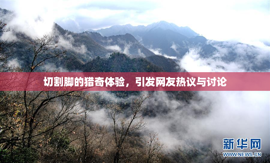 切割脚的猎奇体验，引发网友热议与讨论