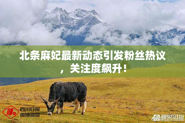 北条麻妃最新动态引发粉丝热议，关注度飙升！