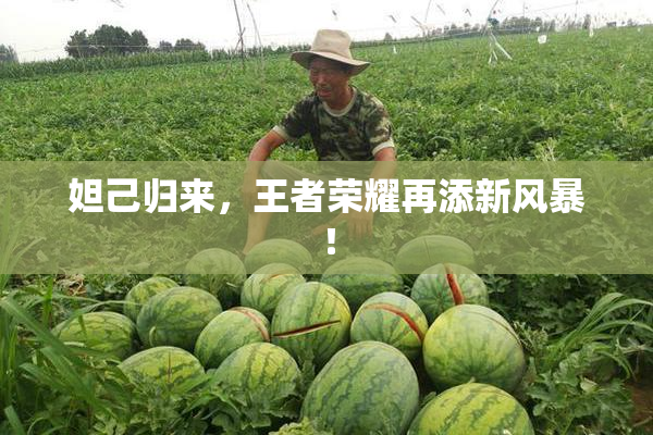 妲己归来，王者荣耀再添新风暴！