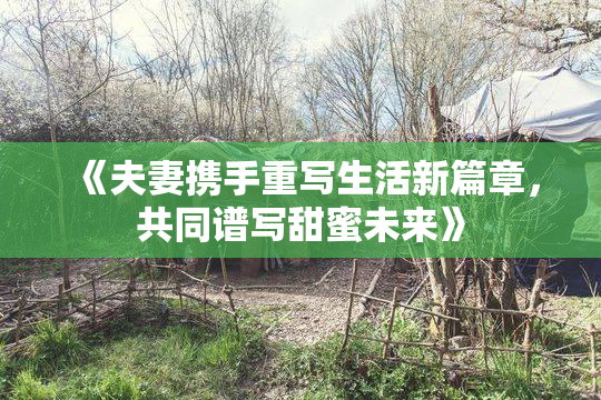 《夫妻携手重写生活新篇章，共同谱写甜蜜未来》