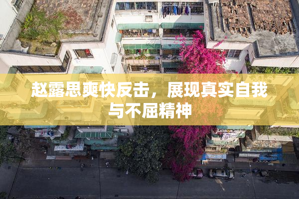 赵露思爽快反击，展现真实自我与不屈精神