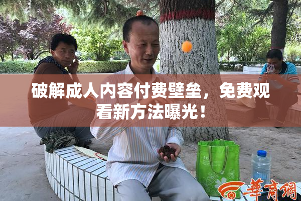 破解成人内容付费壁垒，免费观看新方法曝光！