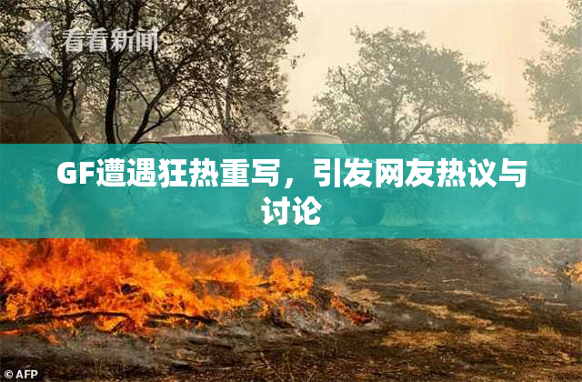 GF遭遇狂热重写，引发网友热议与讨论