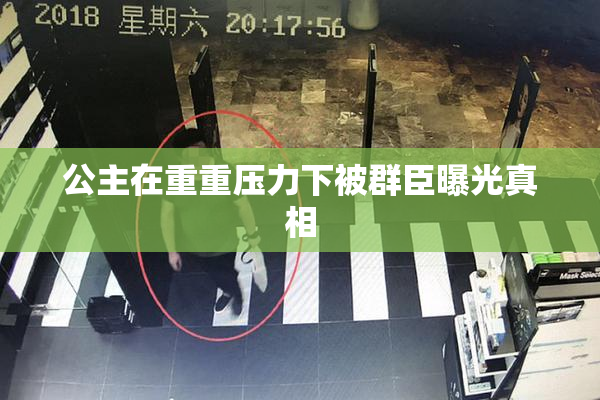 公主在重重压力下被群臣曝光真相