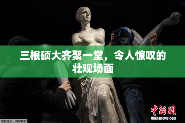 三根硕大齐聚一堂，令人惊叹的壮观场面