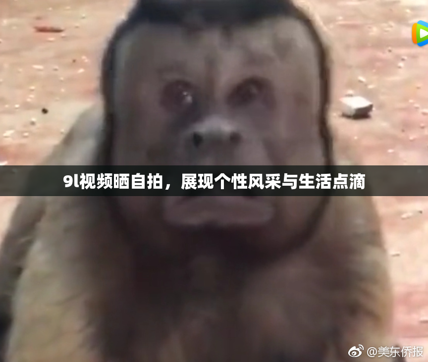 9l视频晒自拍，展现个性风采与生活点滴