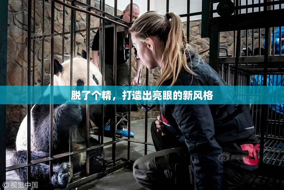脱了个精，打造出亮眼的新风格