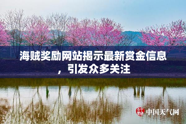 海贼奖励网站揭示最新赏金信息，引发众多关注