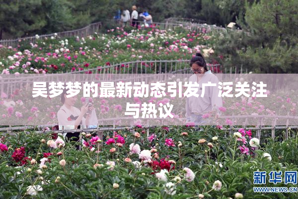 吴梦梦的最新动态引发广泛关注与热议