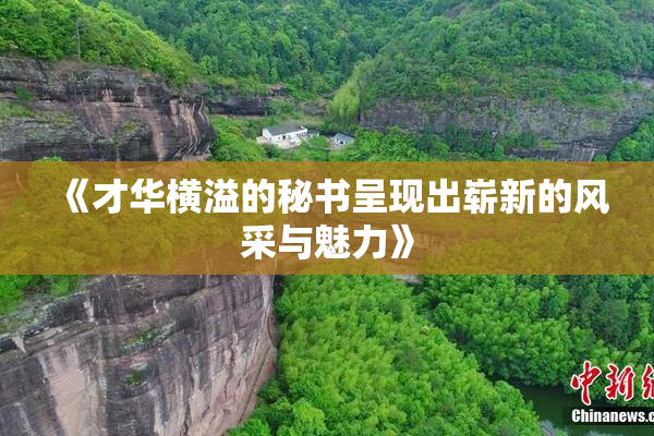 《才华横溢的秘书呈现出崭新的风采与魅力》