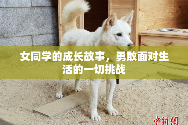 女同学的成长故事，勇敢面对生活的一切挑战