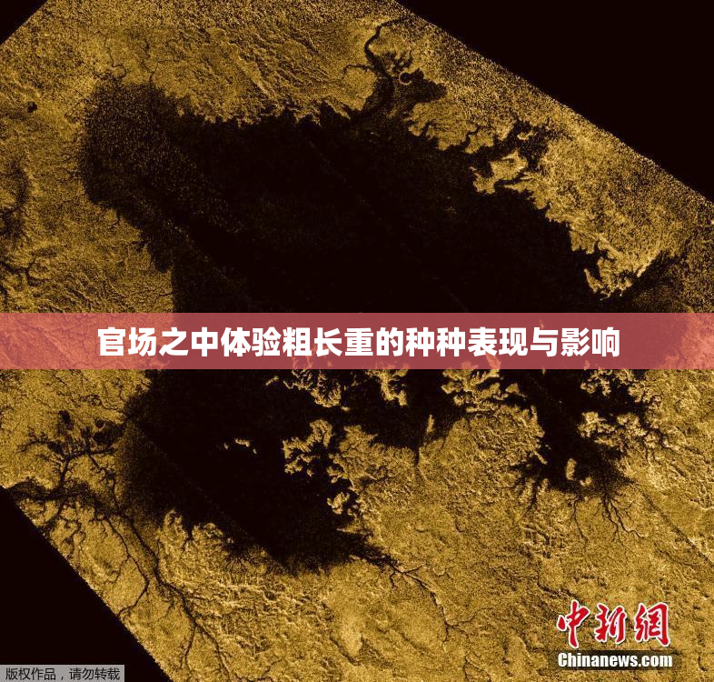 官场之中体验粗长重的种种表现与影响