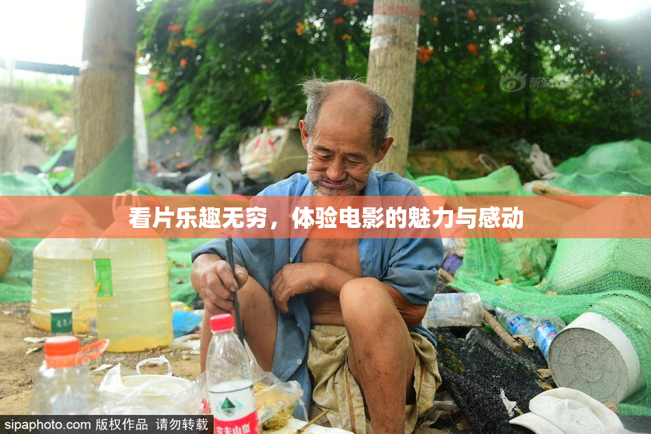 看片乐趣无穷，体验电影的魅力与感动