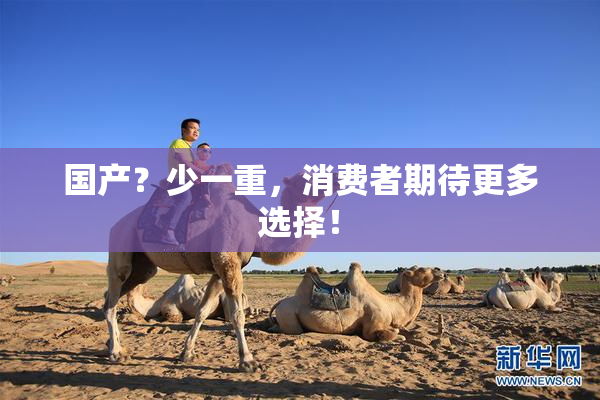 国产？少一重，消费者期待更多选择！