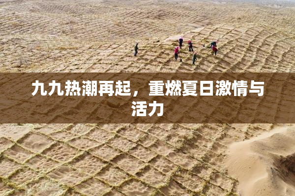 九九热潮再起，重燃夏日激情与活力