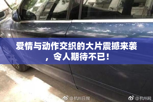 爱情与动作交织的大片震撼来袭，令人期待不已！