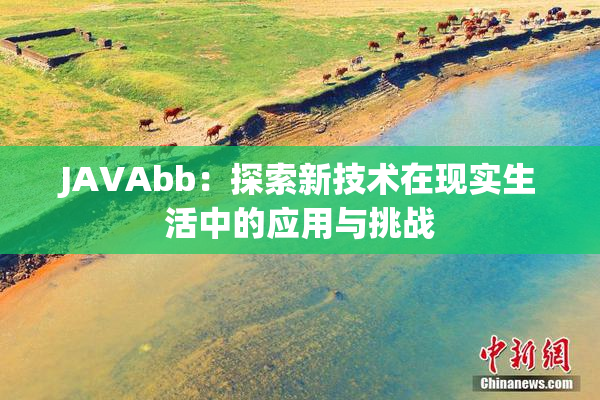 JAVAbb：探索新技术在现实生活中的应用与挑战