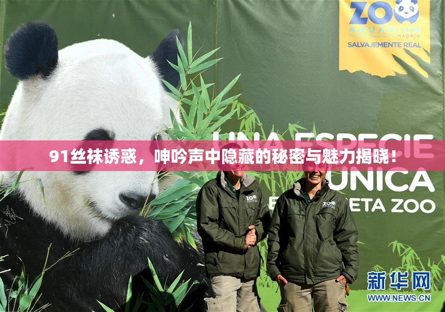 91丝袜诱惑，呻吟声中隐藏的秘密与魅力揭晓！