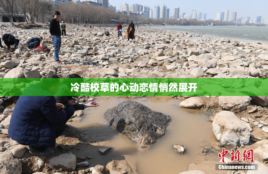 冷酷校草的心动恋情悄然展开