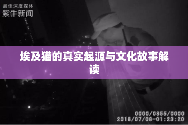埃及猫的真实起源与文化故事解读