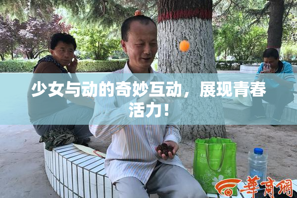 少女与动的奇妙互动，展现青春活力！