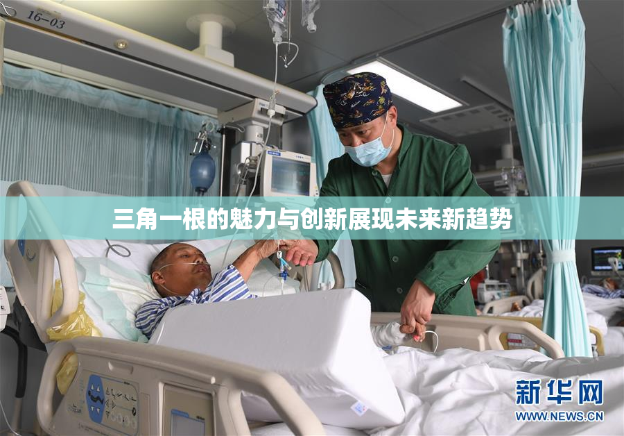 三角一根的魅力与创新展现未来新趋势