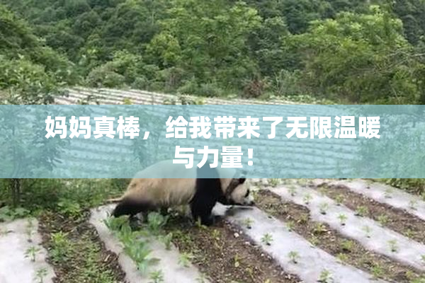 妈妈真棒，给我带来了无限温暖与力量！