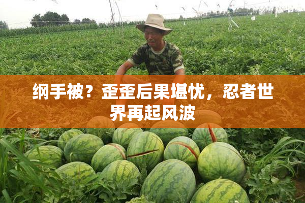 纲手被？歪歪后果堪忧，忍者世界再起风波