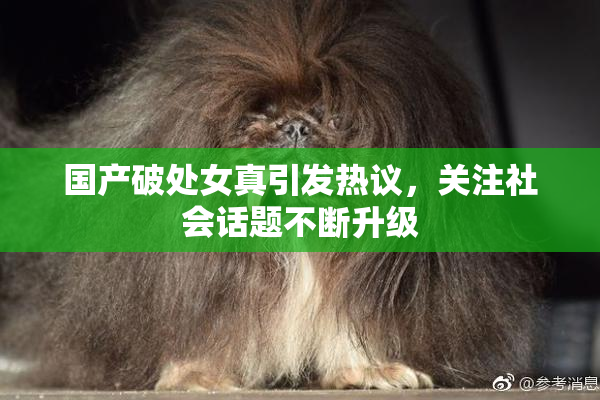 国产破处女真引发热议，关注社会话题不断升级