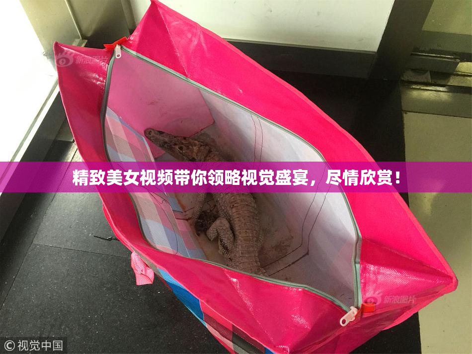 精致美女视频带你领略视觉盛宴，尽情欣赏！